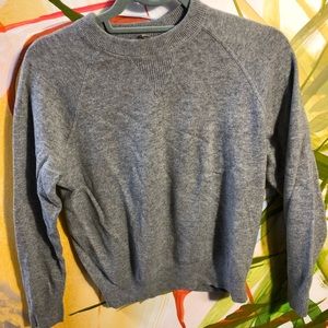 Grey cashmere everlane sweater small